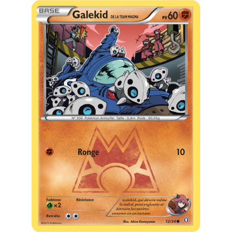 Galekid de la Team Magma 12/34