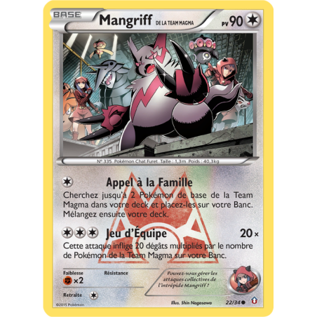 Mangriff de la Team Magma 22/34