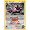 Mangriff de la Team Magma 22/34