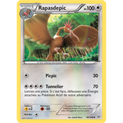 Rapasdepic 66/108