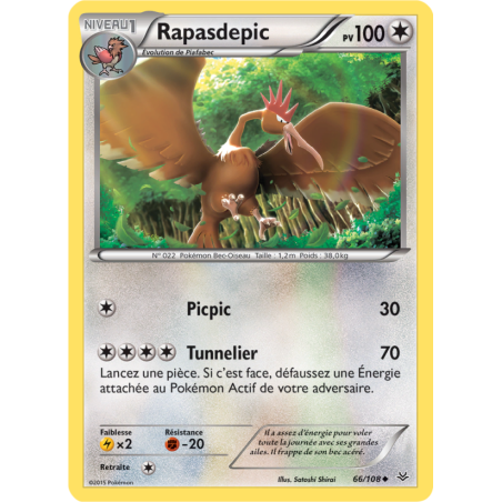 Rapasdepic 66/108