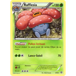 Rafflesia 3/98