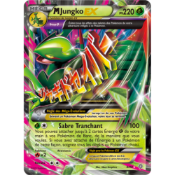 M Jungko-EX 8/98