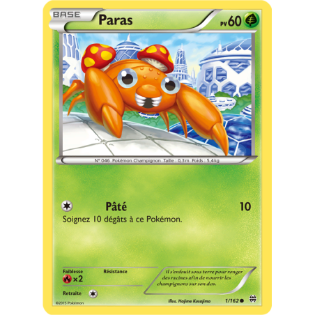 Paras 1/162