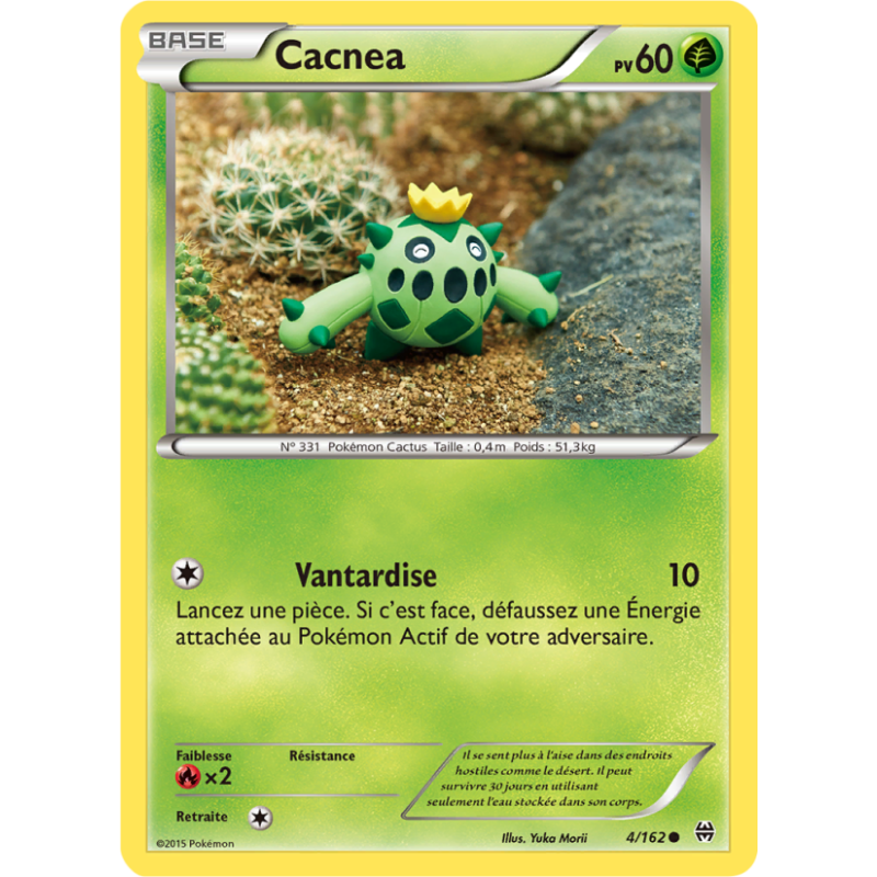 Cacnea 4/162