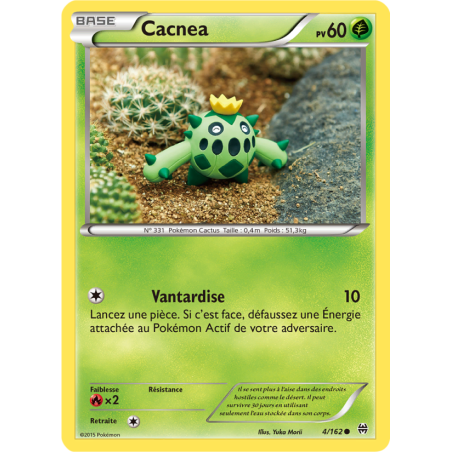 Cacnea 4/162