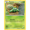 Cacnea 4/162