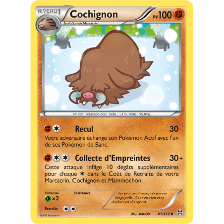 Cochignon 81/162