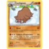 Cochignon 81/162