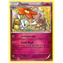 Floette 102/162