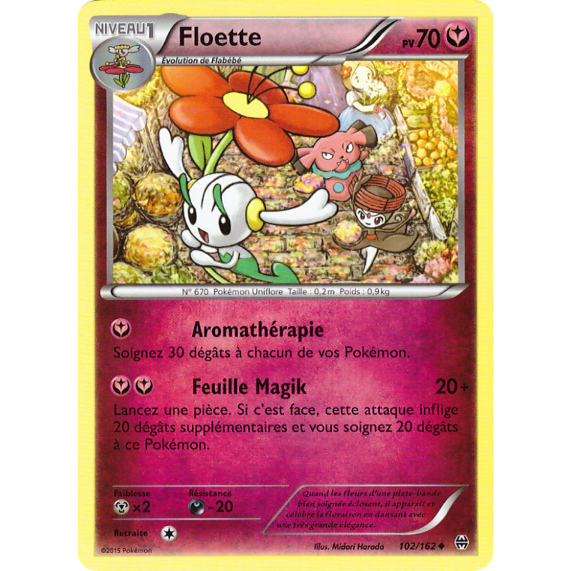 Floette 102/162