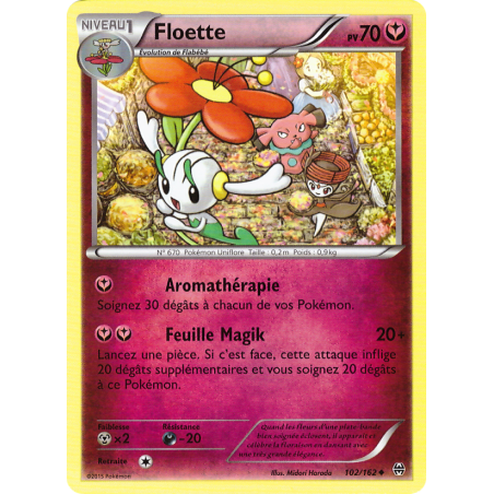 Floette 102/162