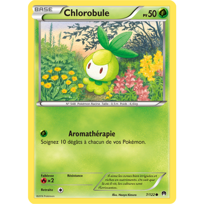 Chlorobule 7/122