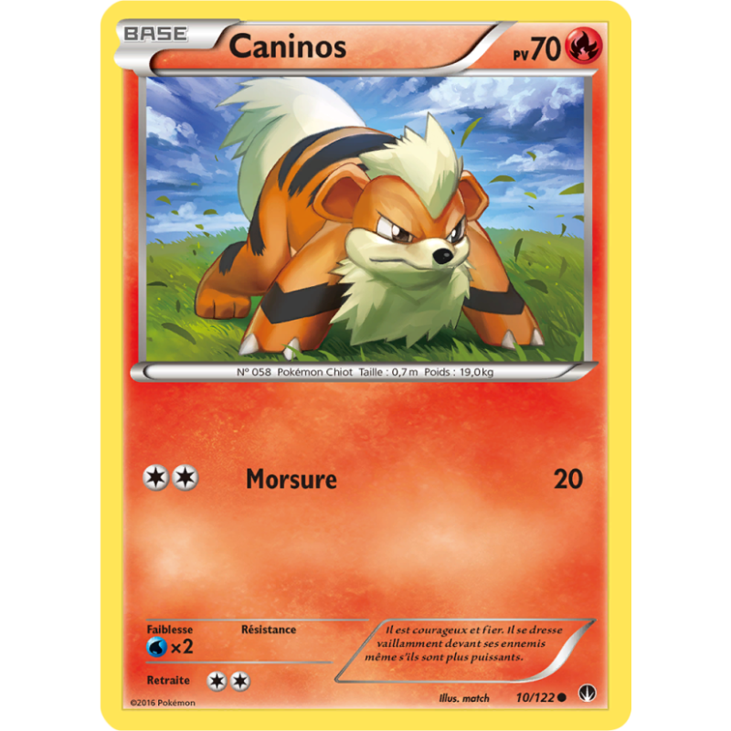 Caninos 10/122