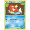 Magicarpe 22/83