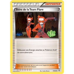 Sbire de la Team Flare 73/83