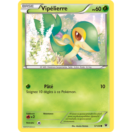 Vipélierre 5/124