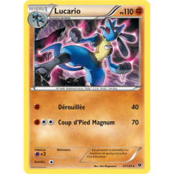 Lucario 47/124