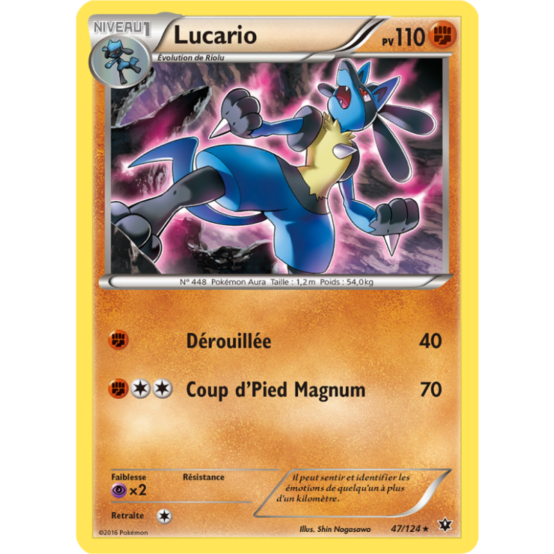 Lucario 47/124