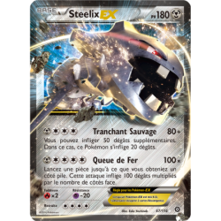 Steelix EX 67/114