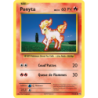 Ponyta 19/108