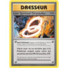 Lien Spirituel Dracaufeu 75/108