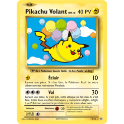 Pikachu Volant 110/108