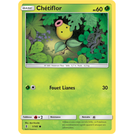 Chétiflor 1/145