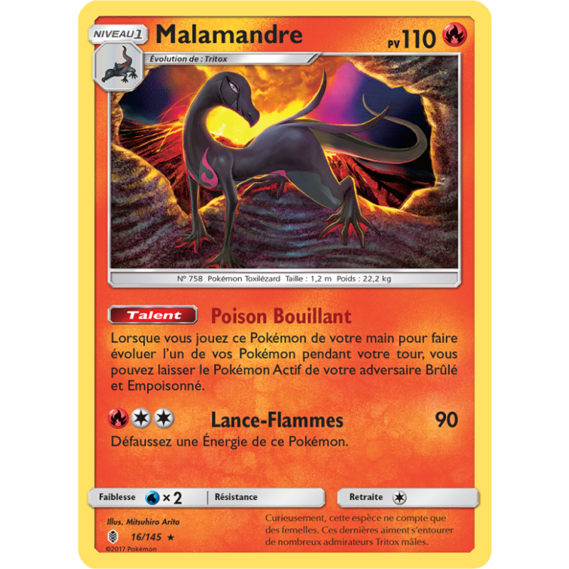 Malamandre 16/145