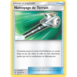 Nettoyage de Terrain 125/145