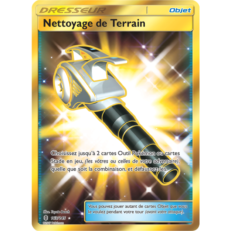 Nettoyage de Terrain 163/145