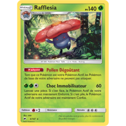 Rafflesia 6/147