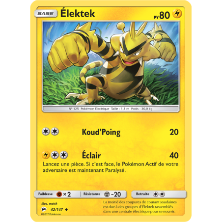 Élektek 42/147