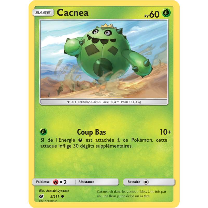 Cacnea 5/111