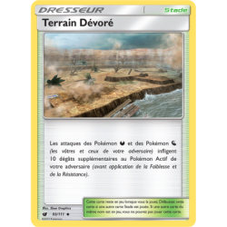 Terrain Dévoré 93/111