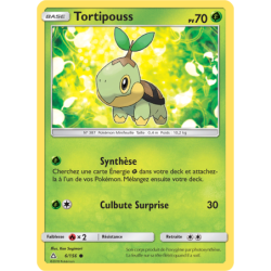 Tortipouss 6/156