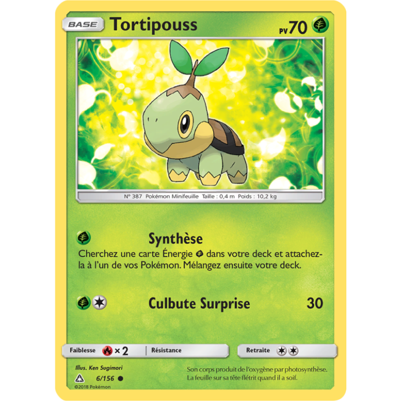 Tortipouss 6/156