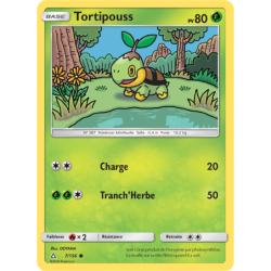 Tortipouss 7/156