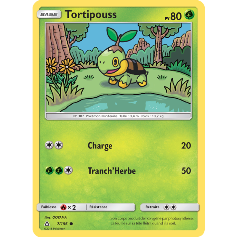 Tortipouss 7/156