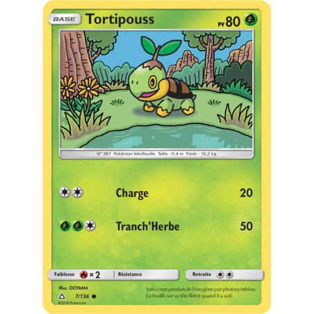 Tortipouss 7/156