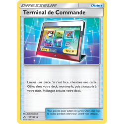 Terminal de Commande 131/156