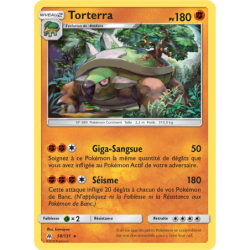 Torterra 58/131