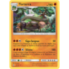 Torterra 58/131