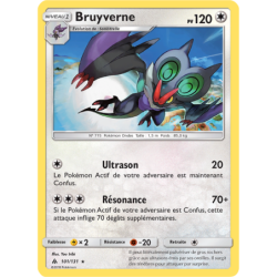 Bruyverne 101/131