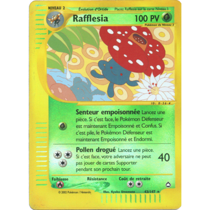 Rafflesia 43/147