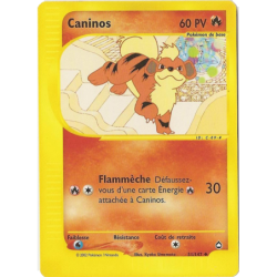 Caninos 51/147