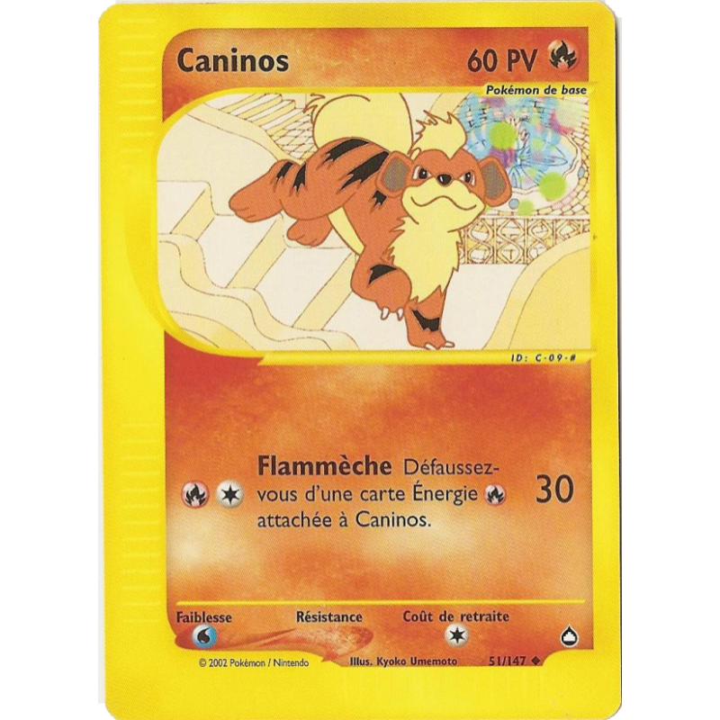 Caninos 51/147