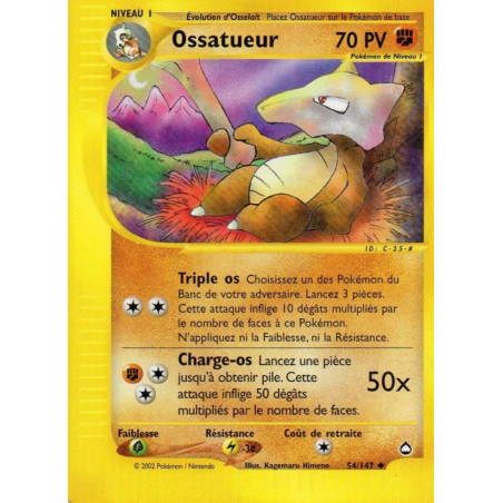 Ossatueur 54/147