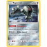 Registeel 96/168