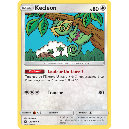 Kecleon 122/168